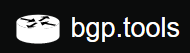 BGP线路查询